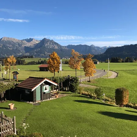 Braun 3 Bolsterlang