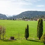 Braun 3