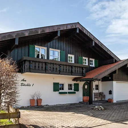 Braun 3 *
