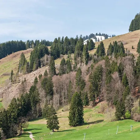 Braun 3 Bolsterlang